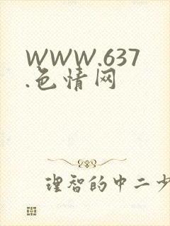 WWW.637.色情网