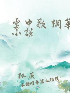 云中歌 桐华 小说