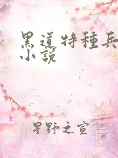 黑道特种兵有声小说