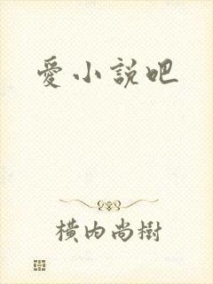爱小说吧