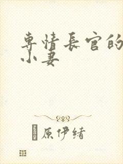 专情长官的天价小妻