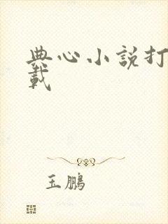 典心小说打包下载