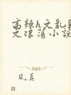 高辣h文乱乳h文浪荡小说苏媚