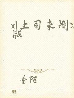 xl上司未删减版