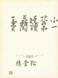 王磊晓芬小说免费阅读第一章