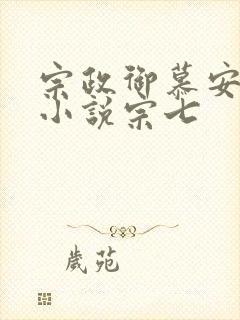 宗政御慕安安的小说宗七