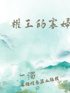 权王的寡妇糖妃