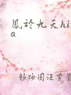 凤于九天hita