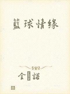 篮球情缘