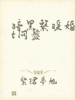 暗黑系暖婚txt网盘