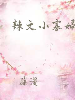 辣文小寡妇
