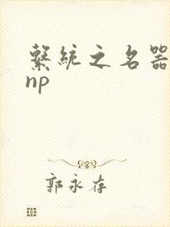 系统之名器攻略np