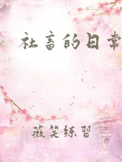 社畜的日常