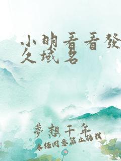 小明看看发布永久域名