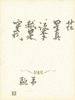 穿越流星花园之我是李真