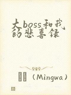 大boss和我的悲喜录