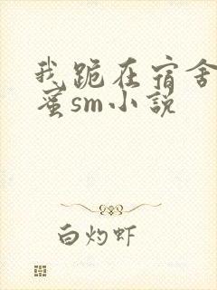 我跪在宿舍被闺蜜sm小说