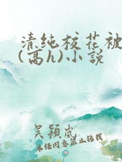 清纯校花被调教(高h)小说