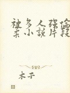 被多人强伦的小柔小说片段