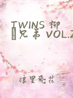 TWINS 柳澤兄弟 VOL.2