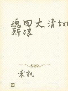 魂回大清txt新浪