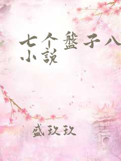 七个盘子八个碗小说