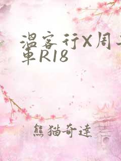 温客行X周子舒车R18