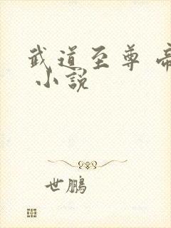 武道至尊 帝临 小说