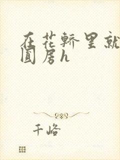 在花轿里就开始圆房h