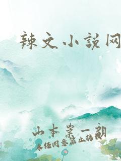 辣文小说网