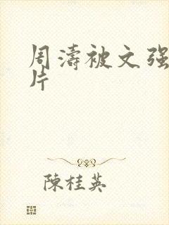 周涛被文强睡图片