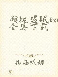 超级盗贼txt全集下载