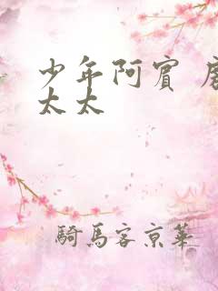 少年阿宾 房东太太