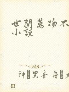 世间万物不及你小说