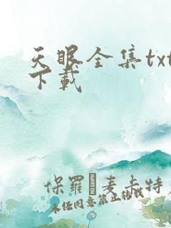 天眼全集txt下载