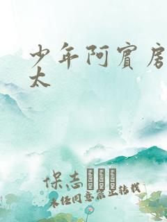 少年阿宾房东太太