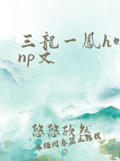 三龙一凤h啪肉np文