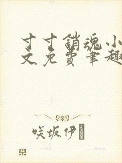 寸寸销魂小说全文免费笔趣阁