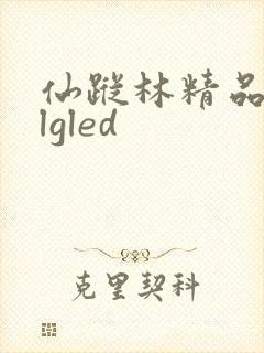 仙踪林精品zzlgled