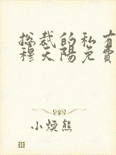 总裁的私有宝贝穆天阳免费