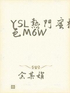 YSL热门蜜桃色M6W
