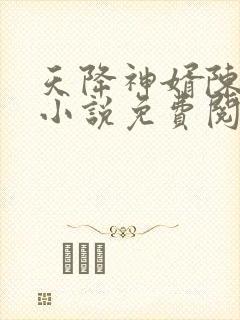 天降神婿陈黄皮小说免费阅读