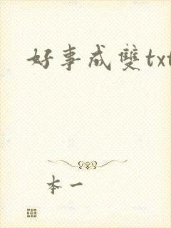 好事成双txt