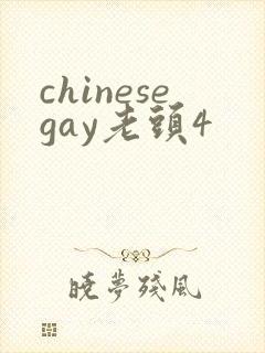 chinesegay老头4
