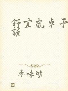 舒宜岚卓予淮小说