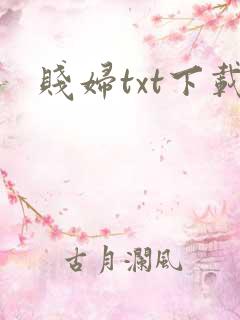 贱妇txt下载