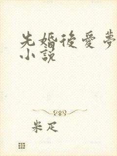 先婚后爱梦筱二小说