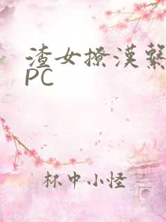 渣女撩汉系统NPC