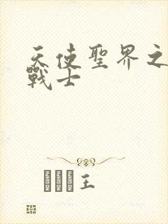 天使圣界之神之战士