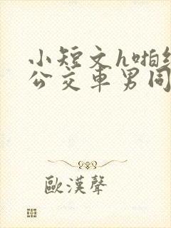 小短文h啪纯肉公交车男同